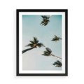 Plakat w ramie 50x70 - Palmy i Niebo - palmy, ujęcie z dołu - rama czarna