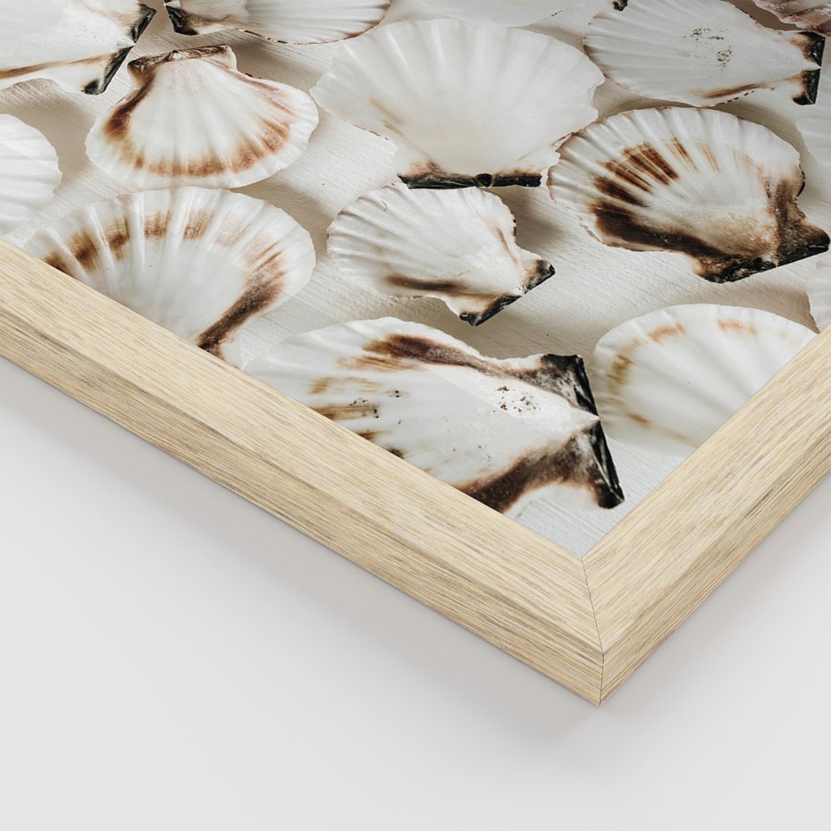 Zestaw obrazy w ramie 40x50 galeria - Morze, muszla, zachód, słońca - rama drewno