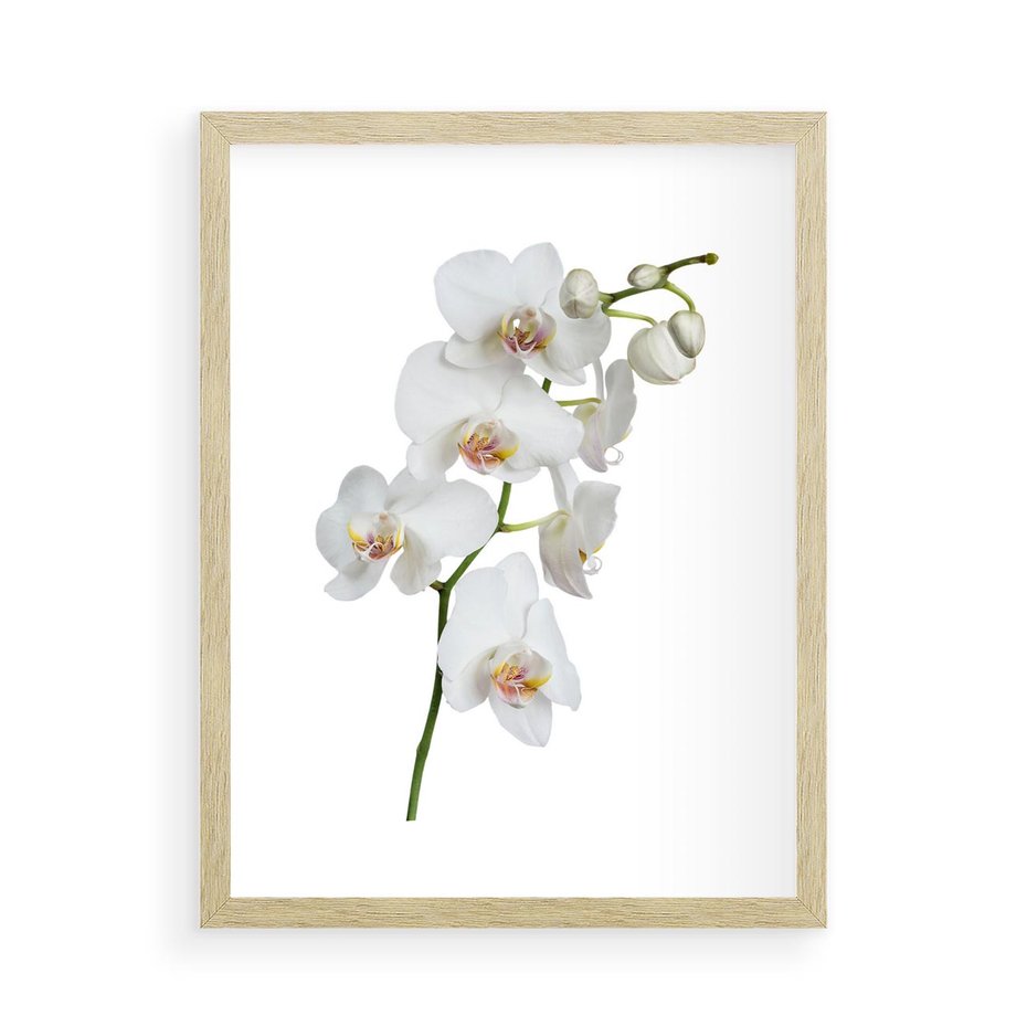 Plakat w ramie 50x70 - Ekskluzywny Relaks - storczyk, spa - rama drewno