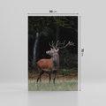 Obraz na płótnie 50x70 - Spotkanie z naturą - jeleń, las