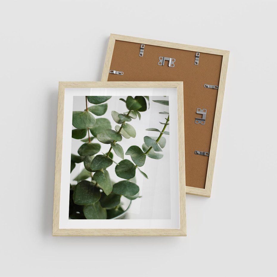 Plakat w ramie 40x50 - Zielone eukaliptusy - eukaliptus, liście - rama drewno