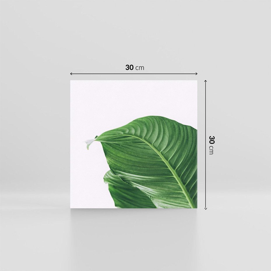 Obraz na płótnie 30x30 - Zielone liście monstery - liście, monstera