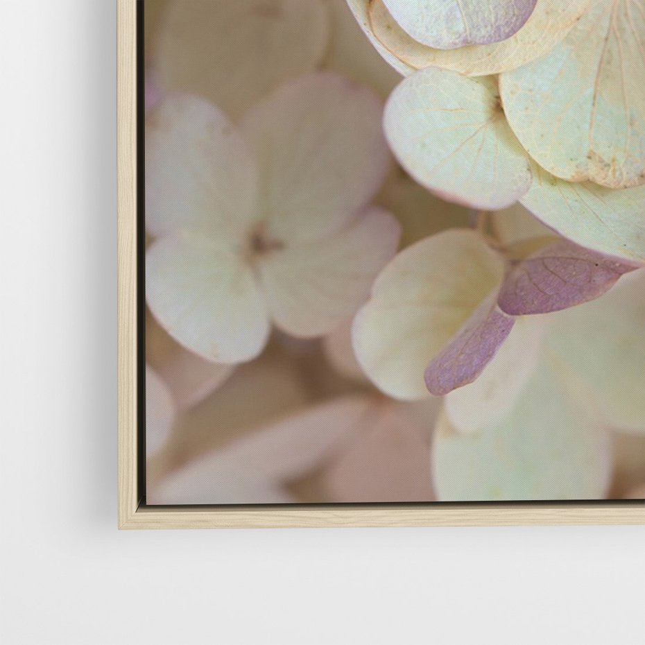 Obraz w ramie 80x120 - Kwiatowy taniec - kwiaty, hortensje - rama drewno