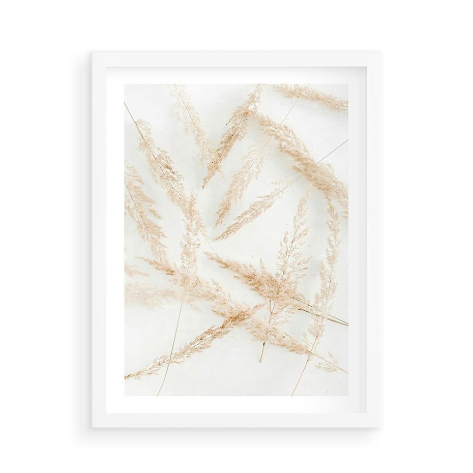 Plakat w ramie 50x70 - Pampas w Stylu Boho: Kompozycja Natury - suche trawy, pampas - rama biała