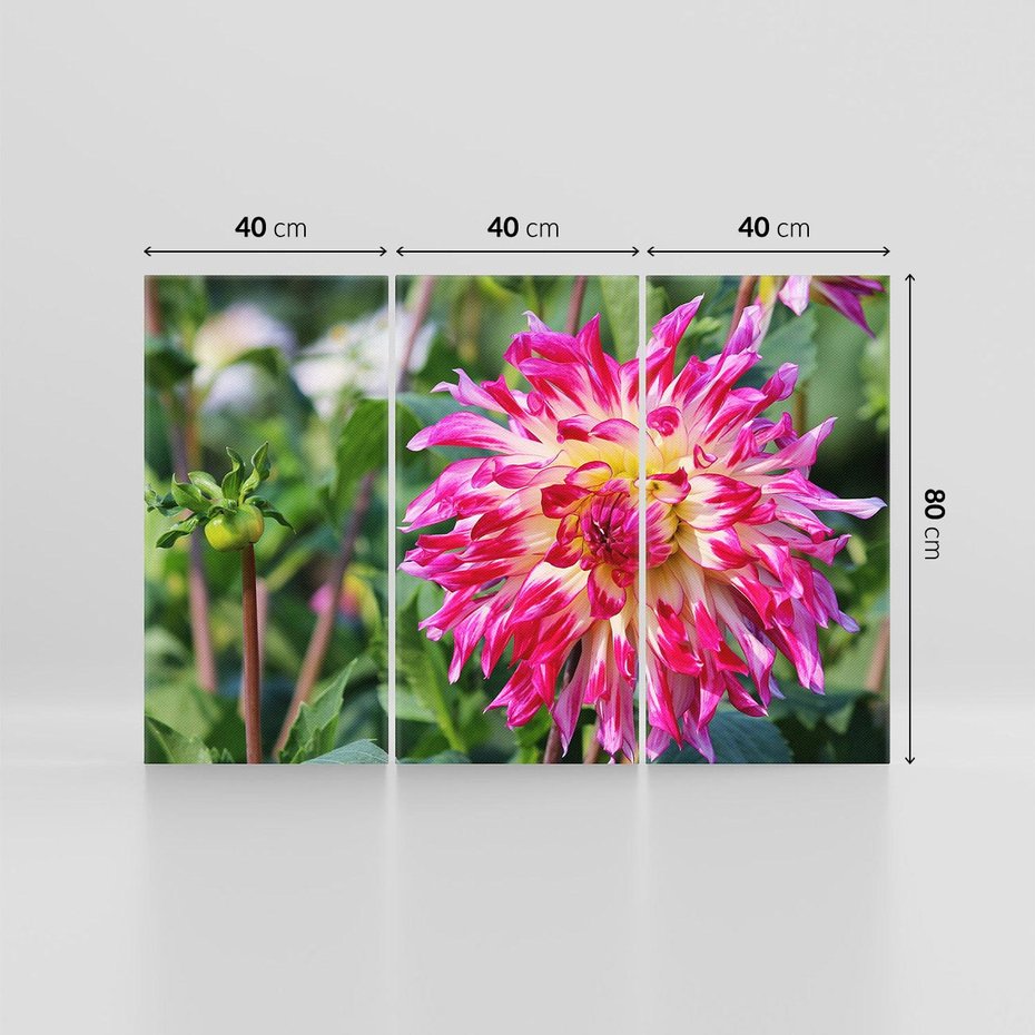 Obraz na płótnie 120x80 - Kwiatowe impresje natury - kwiat, kwiaty