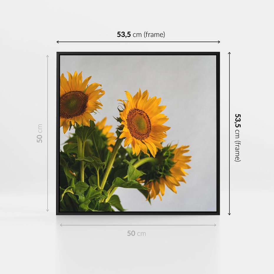 Obraz w ramie 50x50 - Słoneczna Radość - fotografia, żółte słoneczniki - rama czarna