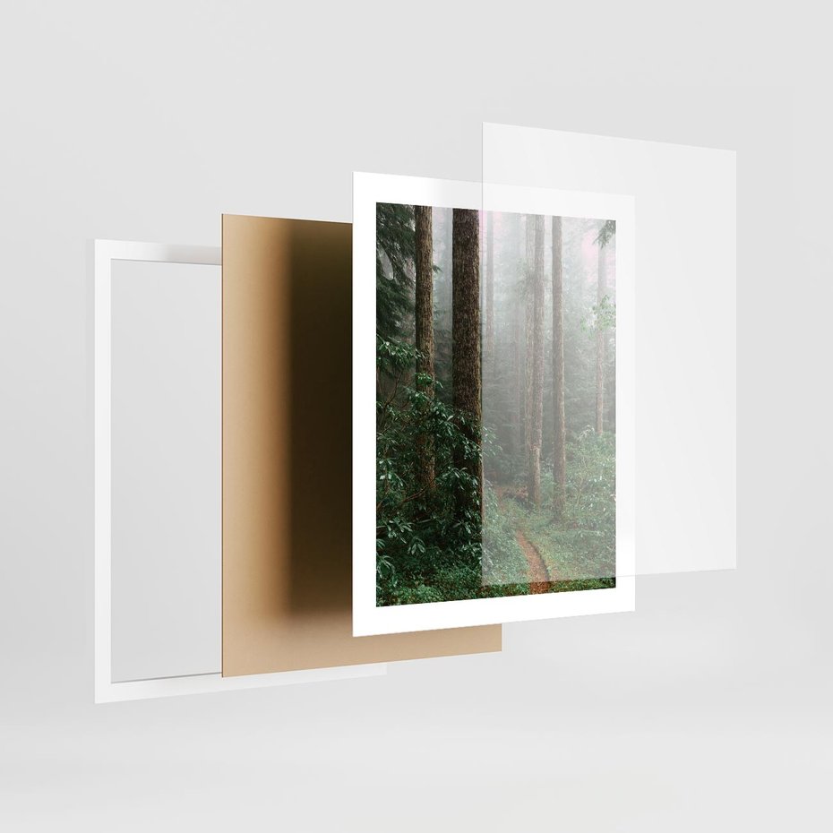 Plakat w ramie 40x50 - Mgliste Marzenia - artystyczna fotografia, las - rama biała