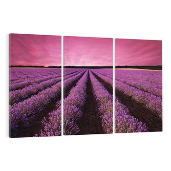 Obraz na płótnie 120x80 - Pola lawendy w pełnym rozkwicie - Lawenda, krajobraz