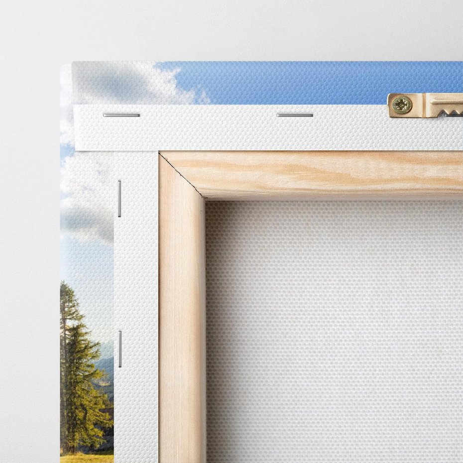 Obraz na płótnie 120x60 - Górski pejzaż: łąka i szczyty - góry, łąka