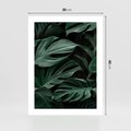 Plakat bez ramy 30x40 - Zielone Liście Monstery w Dżungli - zielone liście monstery, dżungla