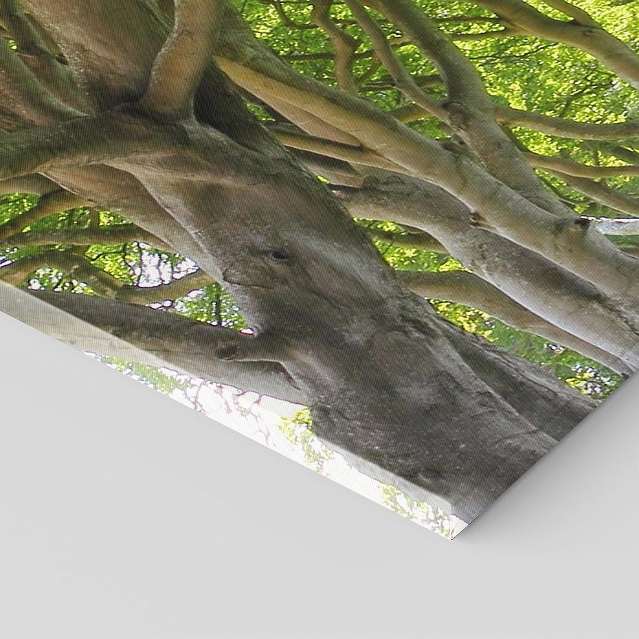 Obraz na płótnie 100x50 - Magiczny Las - drzewa, las