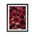 Plakat w ramie 50x70 - Energia Kwiatów - czerwone kwiaty, kompozycja - rama czarna