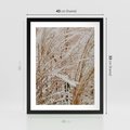 Plakat w ramie 40x50 - Beżowa Trawa - suche trawy, zbliżenie - rama czarna