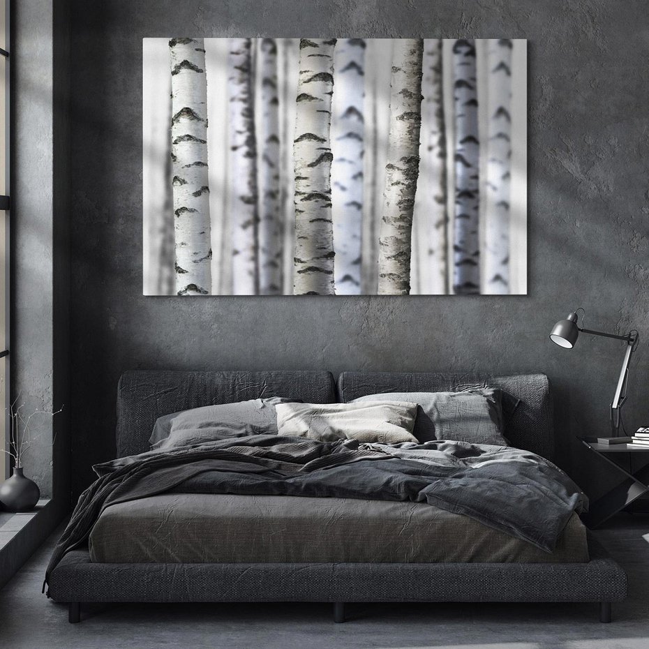 Obraz na płótnie 120x80 - Delikatność brzóz - brzozy, las