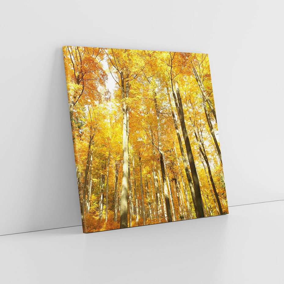 Obraz na płótnie 30x30 - Jesienny Las - Kolorowa Paleta Natury - jesień, drzewa