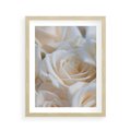 Plakat w ramie 40x50 - Białe róże piękności - białe, róże - rama drewno