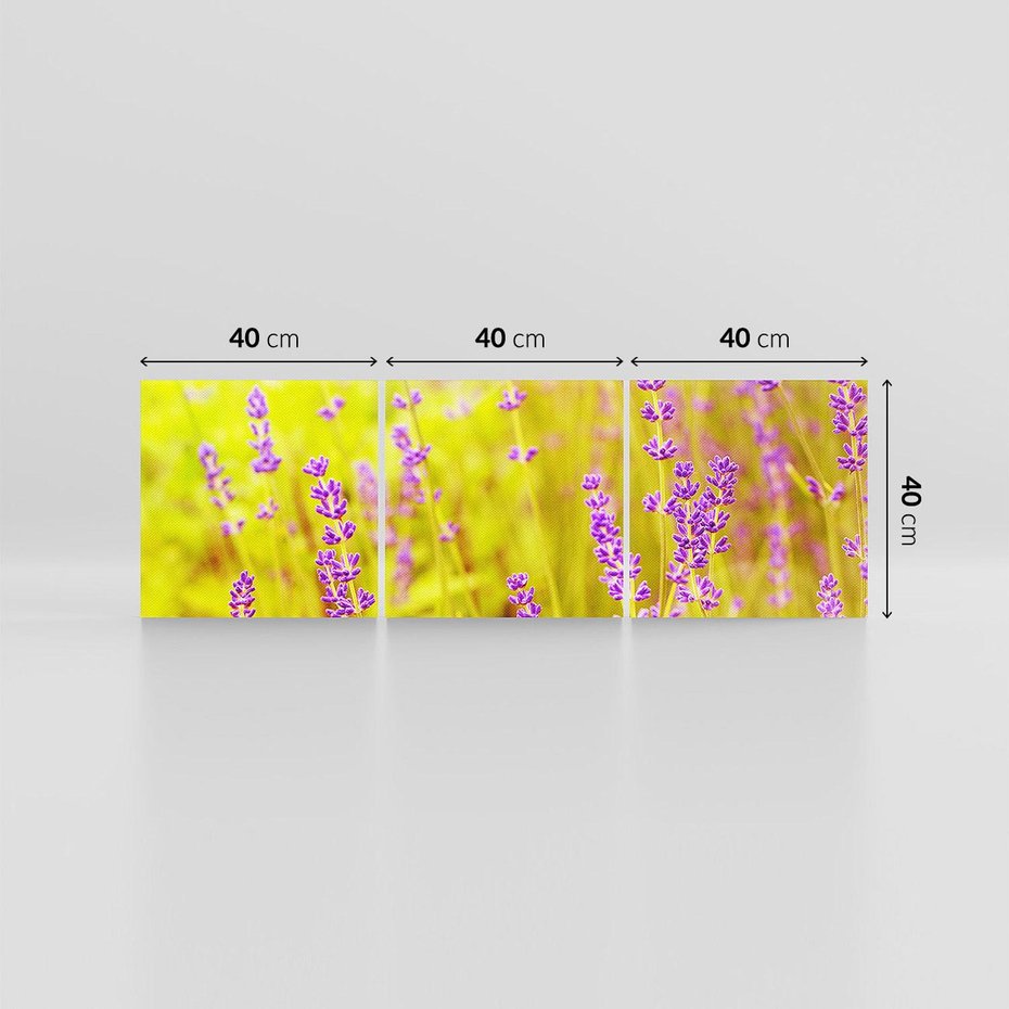 Obraz na płótnie 120x40 - Delikatność natury - lawenda, kwiaty