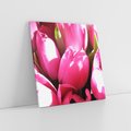 Obraz na płótnie 50x50 - Tulipany w pejzażu - tulipany, kwiaty