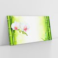 Obraz na płótnie 100x50 - Orchidea, Bambus i Relaks w SPA - orchidea, kwiat