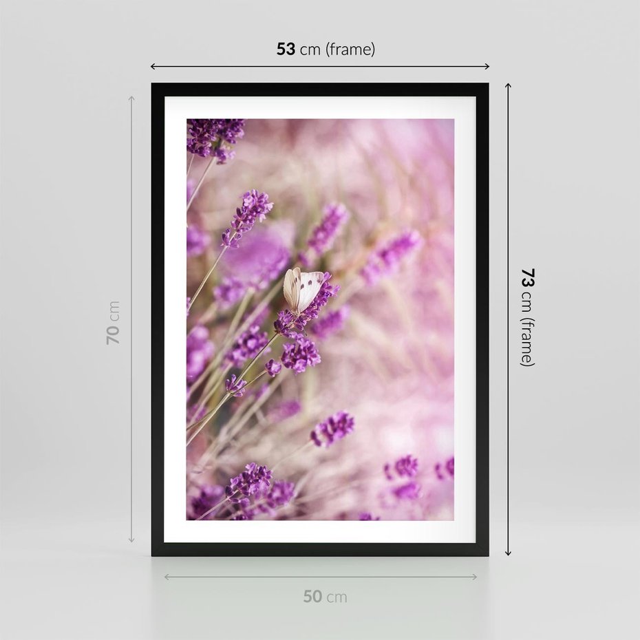 Plakat w ramie 50x70 - Majestat lawendy: fioletowe pola - lawenda, fiolet - rama czarna