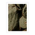 Plakat bez ramy 30x40 - Urok Egzotyki - kaktusy, boho
