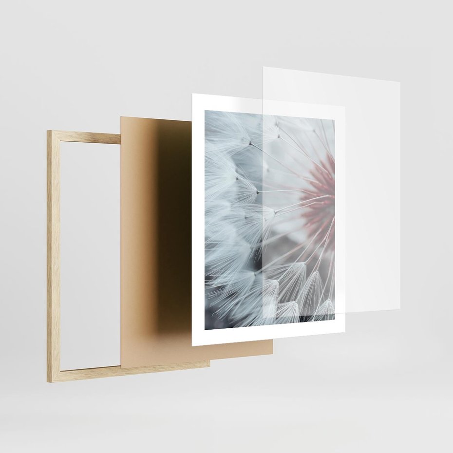 Plakat w ramie 40x50 - Makro Magii Natury - dmuchawiec, zbliżenie makro - rama drewno