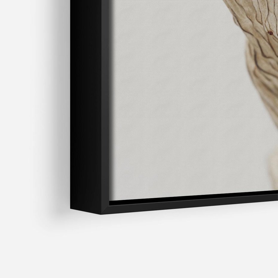 Obraz w ramie 50x50 - Suszone piękno - susz, suche - rama czarna