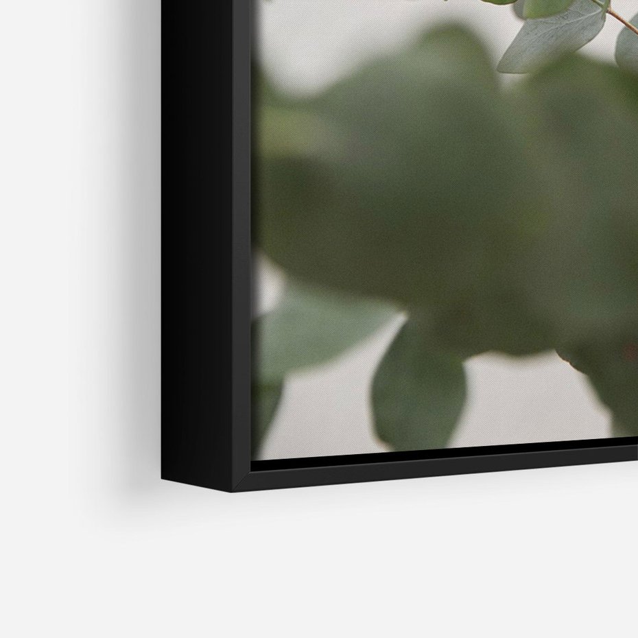 Obraz w ramie 70x100 - Liście eukaliptusa w naturze - eukaliptus, liście - rama czarna