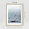 Plakat w ramie 30x40 - Spotkanie z Orką - morze, ocean - rama drewno