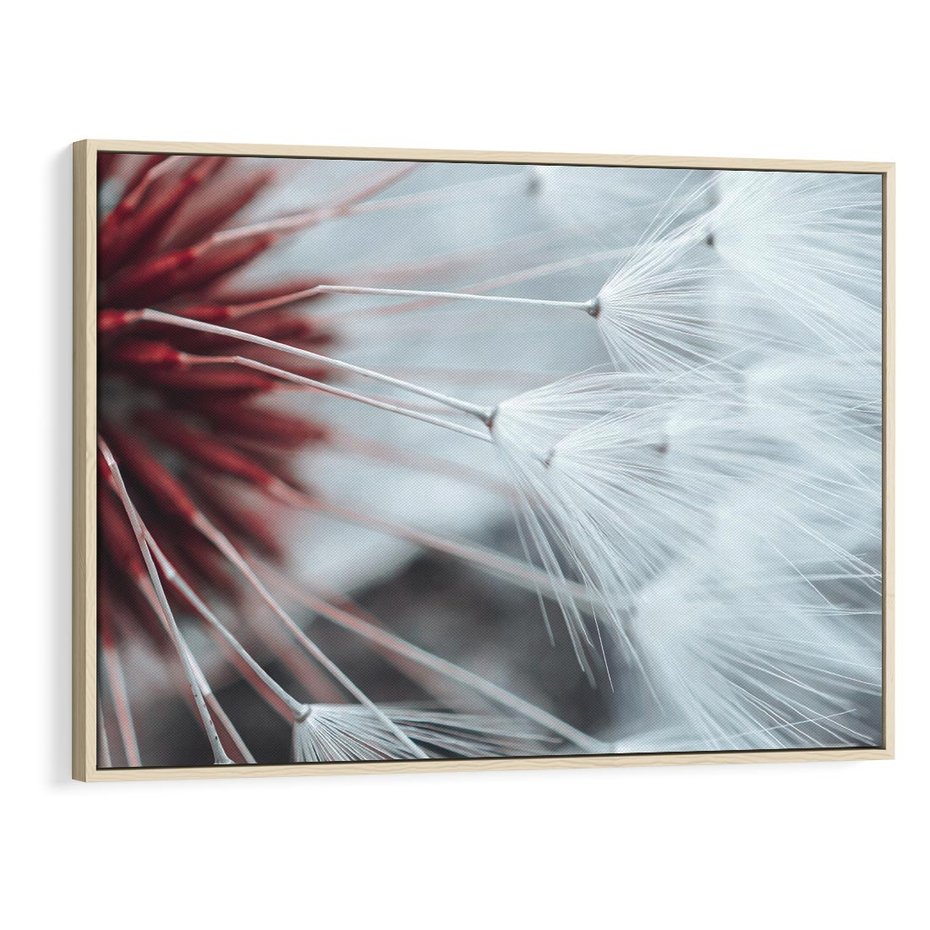 Obraz w ramie 120x80 - Makro świat dmuchawca - dmuchawiec, makro - rama drewno