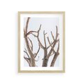 Plakat w ramie 30x40 - Pustynna Harmonia Gałęzi - pustynna roślina, suche gałęzie - rama drewno