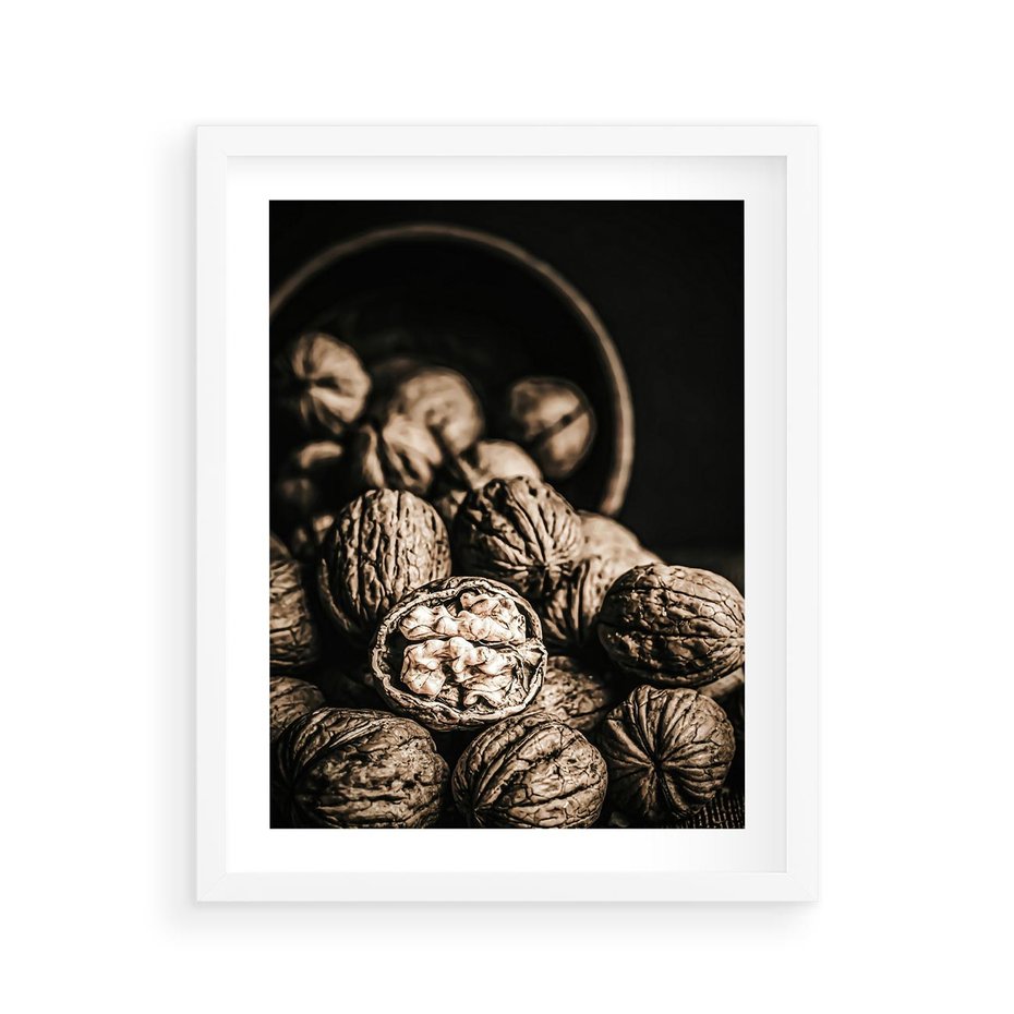 Plakat w ramie 40x50 - Orzechy Włoskie w Sepii - orzechy włoskie, fotografia retro - rama biała
