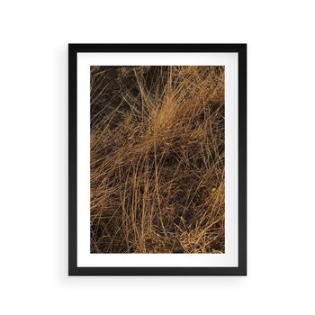 Plakat w ramie 40x50 - Szlachetna Suchość Traw - trawy, suche trawy - rama czarna