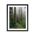 Plakat w ramie 40x50 - Mgliste Marzenia - artystyczna fotografia, las - rama czarna