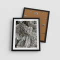 Plakat w ramie 40x50 - Cisza Zimowej Natury - zima, iglaste gałązki - rama czarna