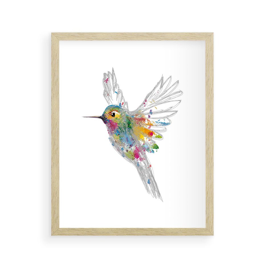 Plakat w ramie 40x50 - Koliber w akwareli - akwarela, koliber - rama drewno