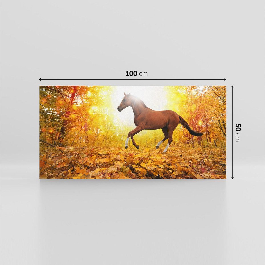 Obraz na płótnie 100x50 - Moc konia w zachodzie słońca - koń, słońce