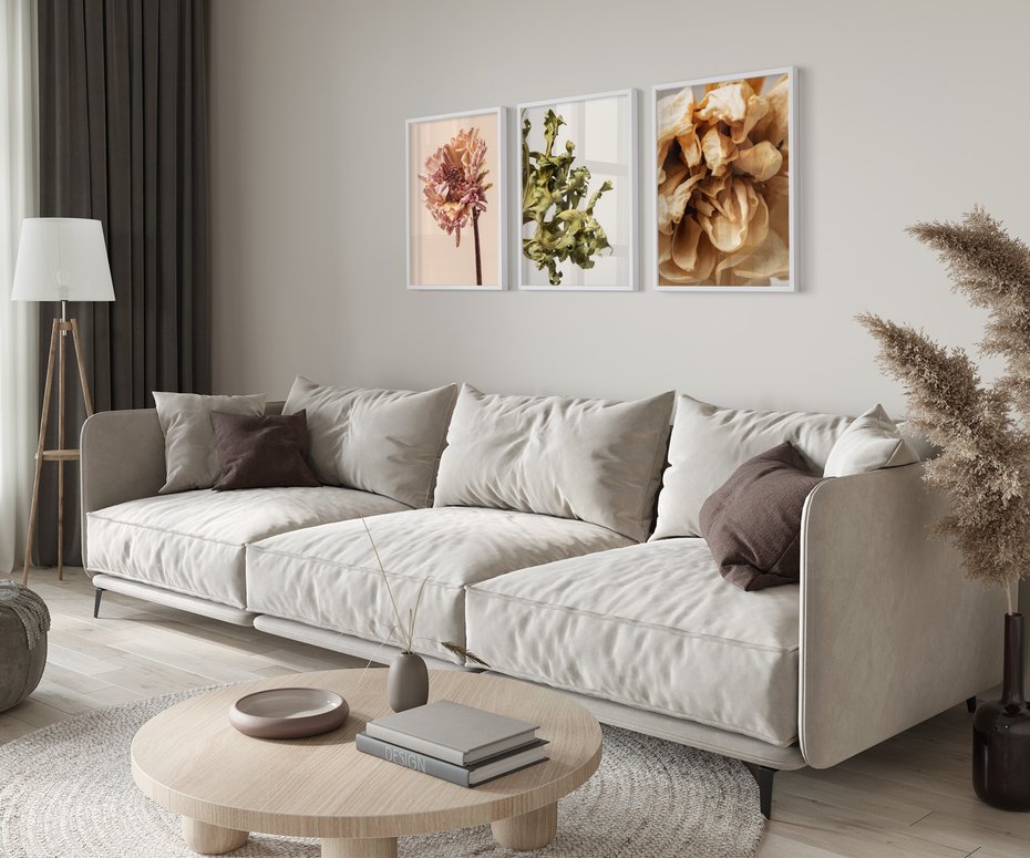 Zestaw obrazy w ramie 40x50 galeria - Suche, kwiaty, boho, minimalizm, płatki - rama biała