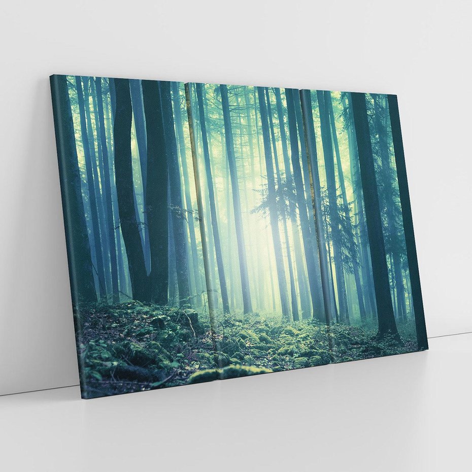 Obraz na płótnie 120x80 - Mistyczny las w mgle - las, mgła