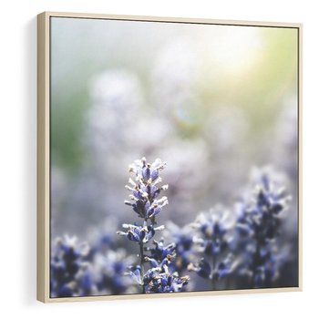 Obraz w ramie 80x80 - Delikatna Uroda Natury - wrzosy, fiolet - rama drewno