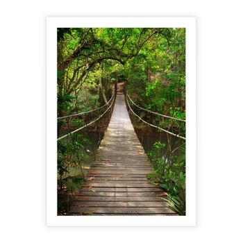 Plakat bez ramy 50x70 - Przez Dżunglę - most, linowy