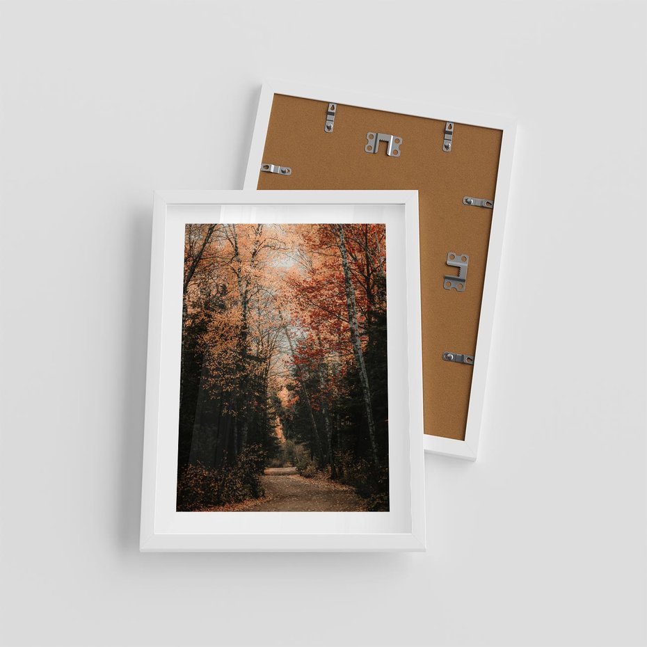 Plakat w ramie 30x40 - Drzewa w Czerwonych Liściach - las, jesienny las - rama biała