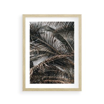 Plakat w ramie 30x40 - Liściaste Palmy - palmy, drzewa palmowe - rama drewno