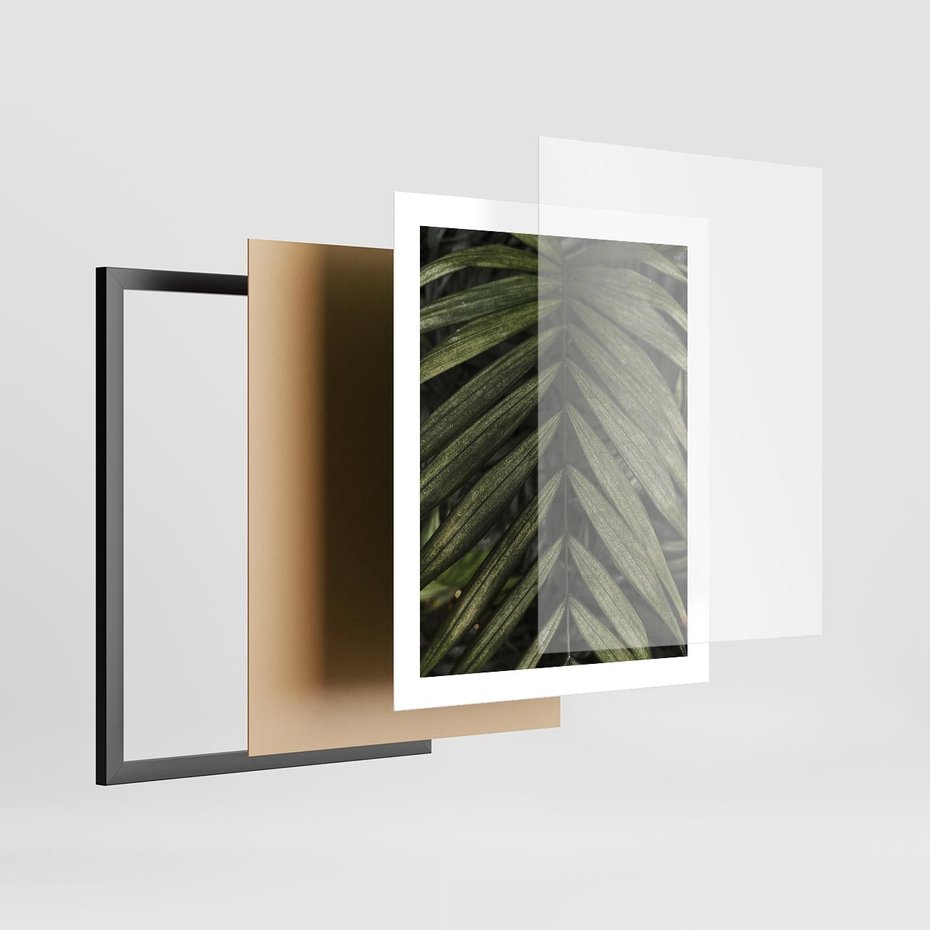 Plakat w ramie 40x50 - W Liściach Ukryte - zdjęcie, fotografia - rama czarna