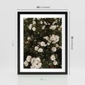 Plakat w ramie 40x50 - Czyste Piękno - białe kwiaty, białe róże - rama czarna