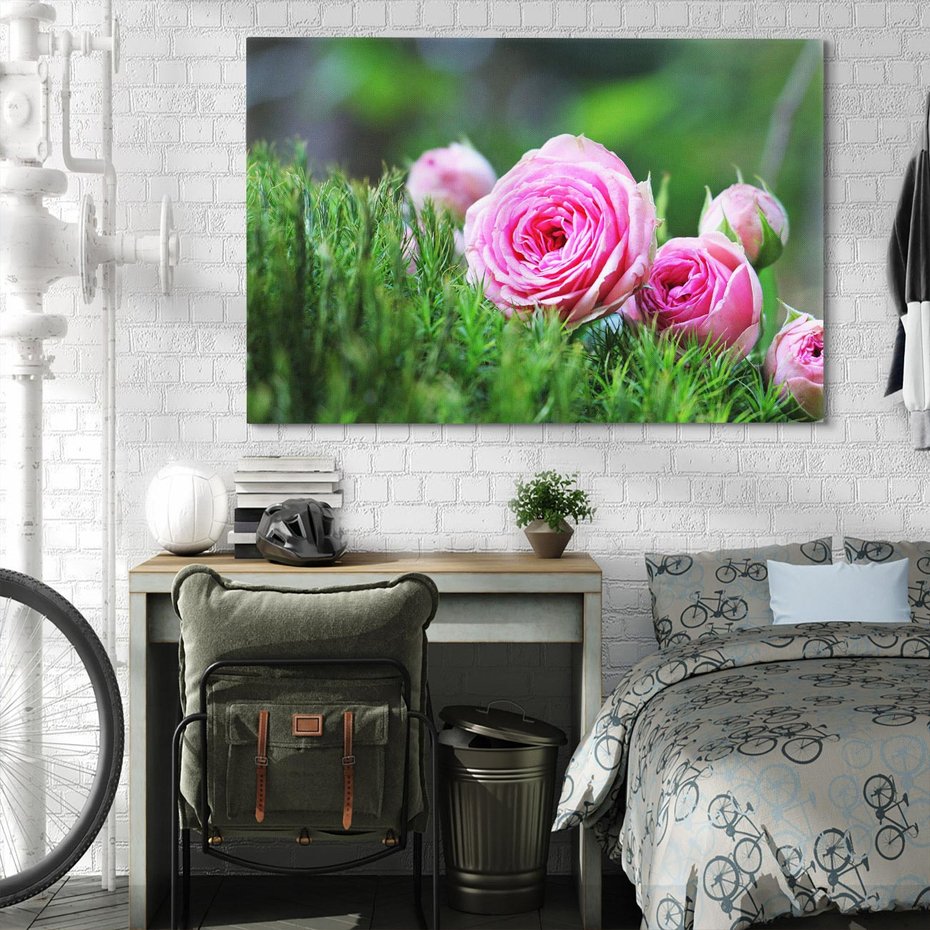 Obraz na płótnie 70x50 - Różane Ukojenie - róże, kwiaty