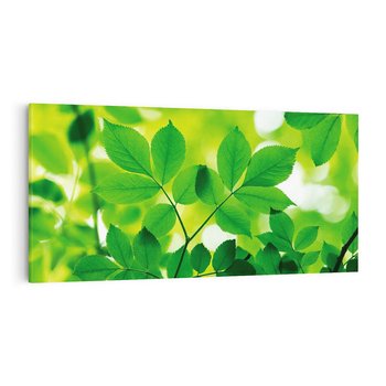 Obraz na płótnie 120x60 - Magia liści - liście, drzewo
