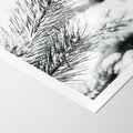 Plakat bez ramy 21x30 - Chwila Zimowej Magii - iglasta gałązka, śnieg