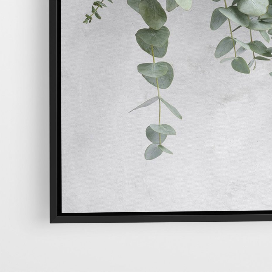Obraz w ramie 70x100 - Uwodzicielska zieleń eukaliptusa - eukaliptus, zielone - rama czarna