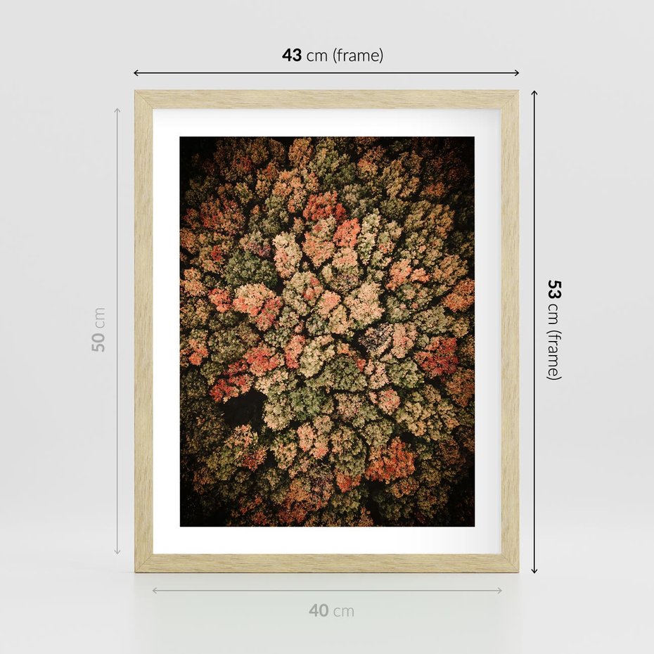 Plakat w ramie 40x50 - Jesień z Lotu Ptaka: Malowniczy Las - las jesienią z lotu ptaka - rama drewno